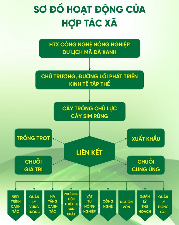 Sơ đồ hoạt động