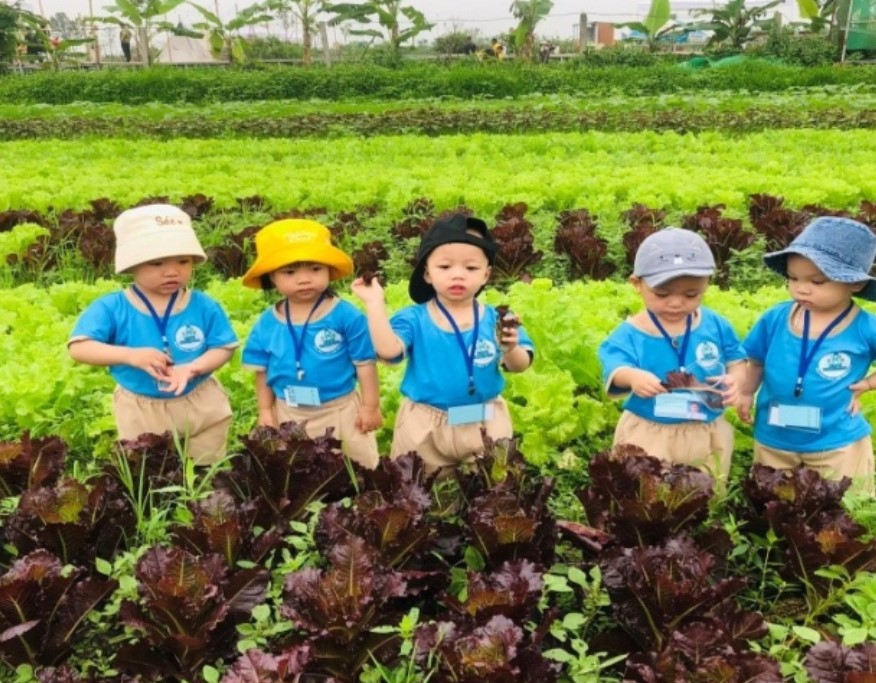 Trải nghiệm giáo dục