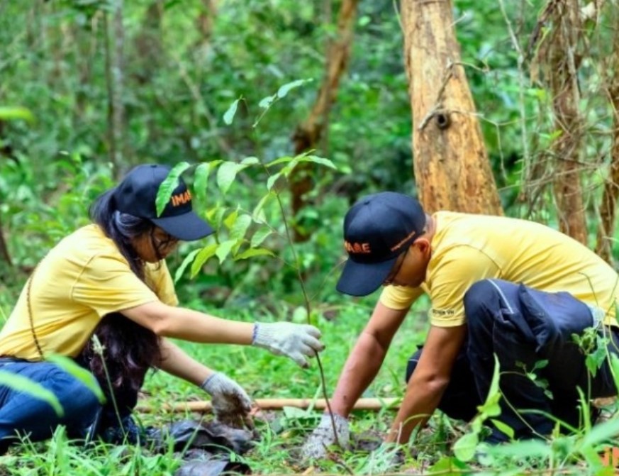 Vườn thảo dược